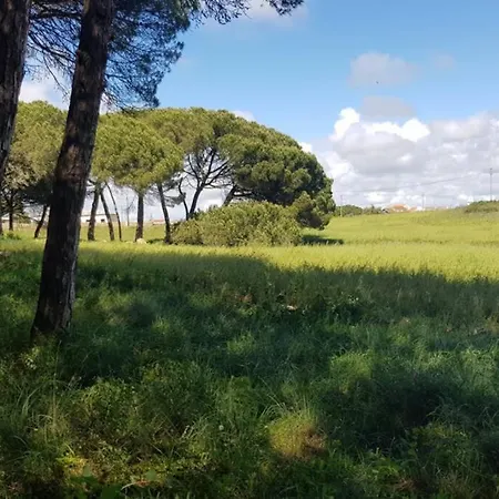 Hébergement de vacances Casa 37 - Country Terrugem
